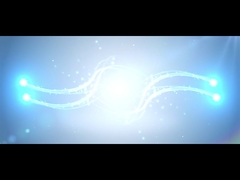 About Us Company Profile